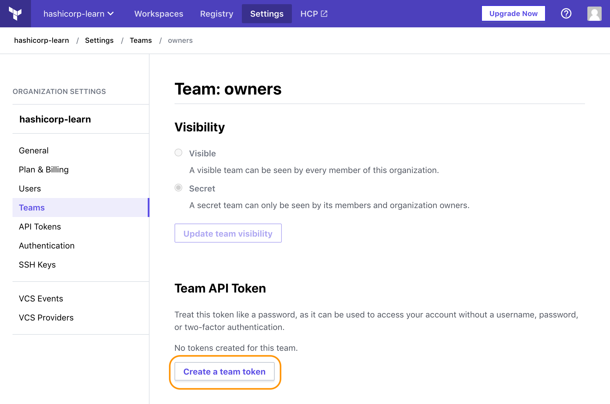 Create a Team API token